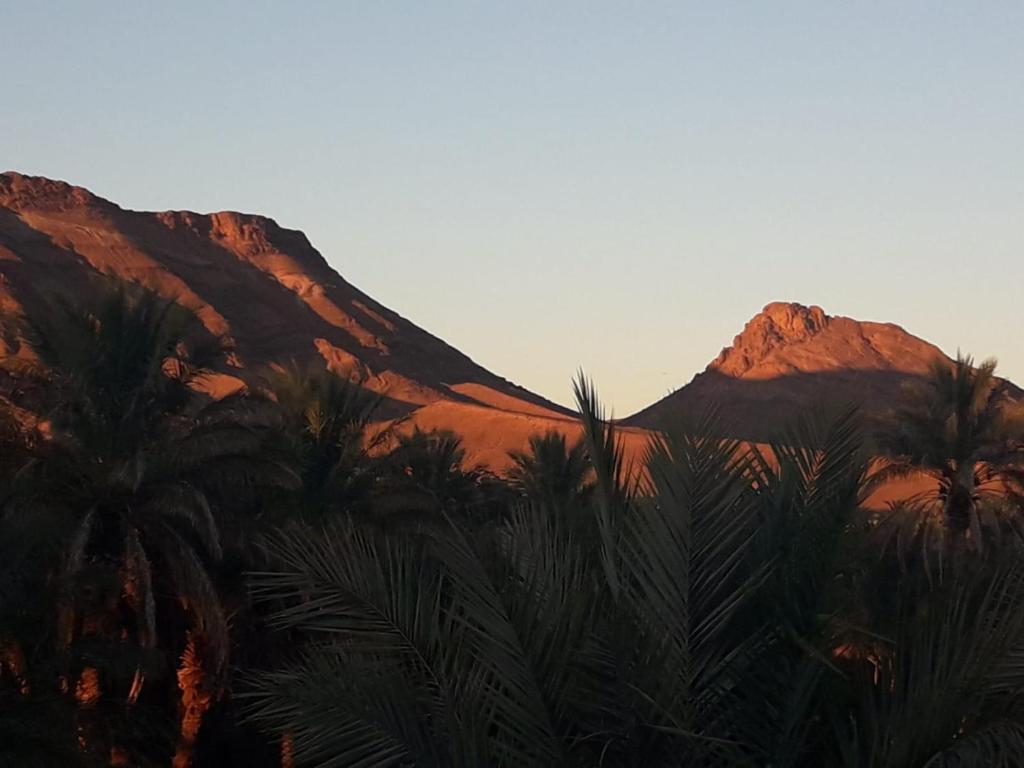 Riad Tagmadarte Ferme dHote riad Region non trouvee Zagora 17