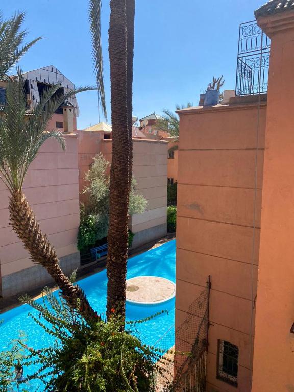 Riad Tichka piscine palmeraie riad Marrakech Tensift Haouz Marrakech 3