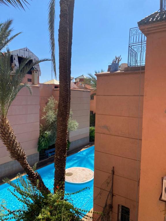 Riad Tichka piscine palmeraie riad Marrakech Tensift Haouz Marrakech 9