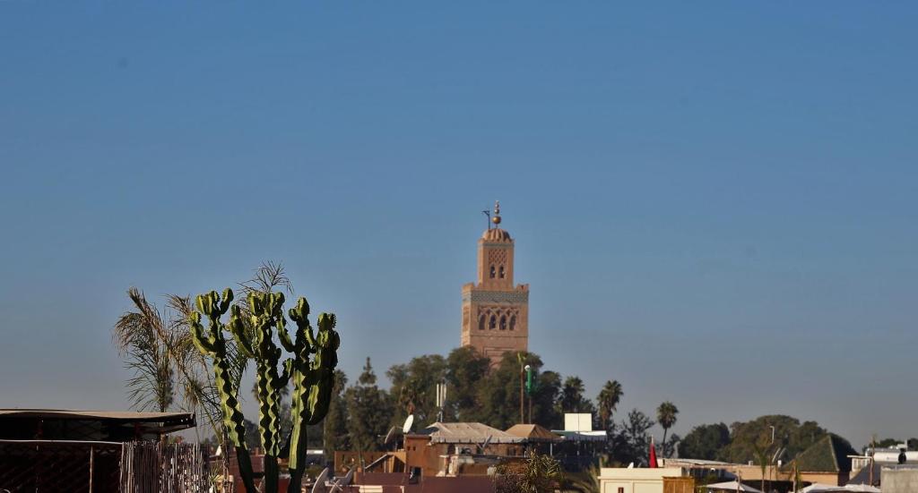 Riad Villa El Arsa riad Marrakech Tensift Haouz Marrakech 12