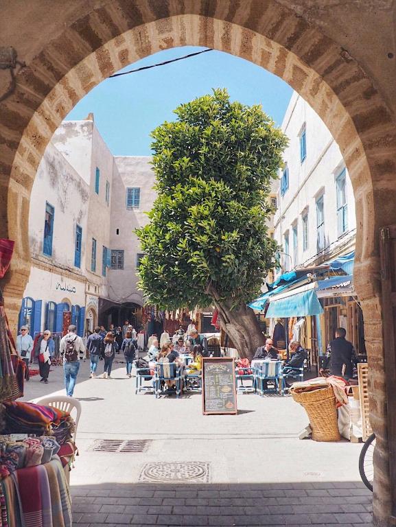 Riad Zawia riad Marrakech Tensift Haouz Essaouira 5