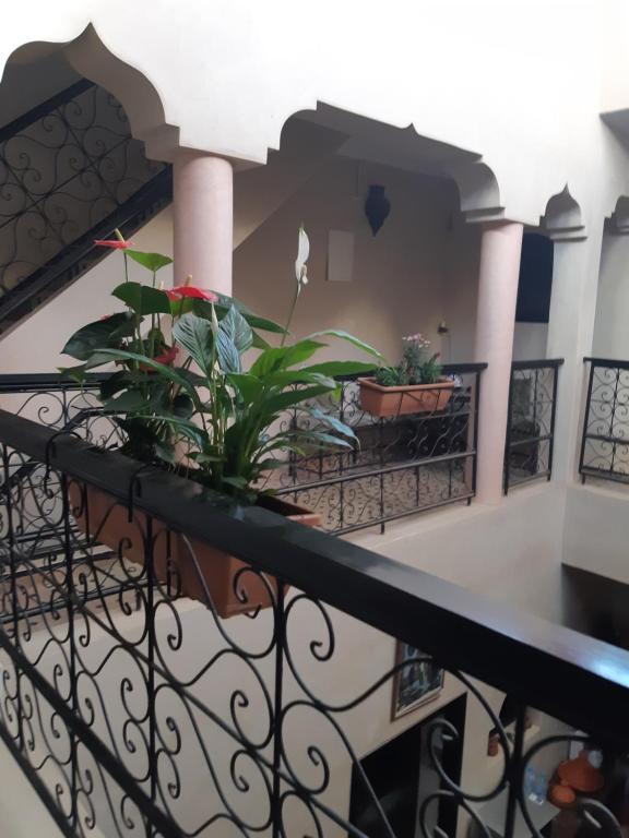 Riad Zinnha riad Marrakech Tensift Haouz Marrakech 18