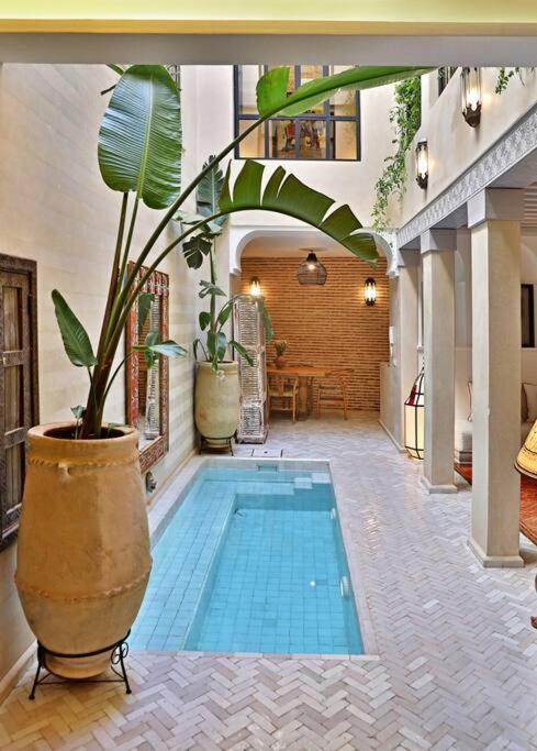 Riad dar Tayri riad Marrakech Tensift Haouz Marrakech 3