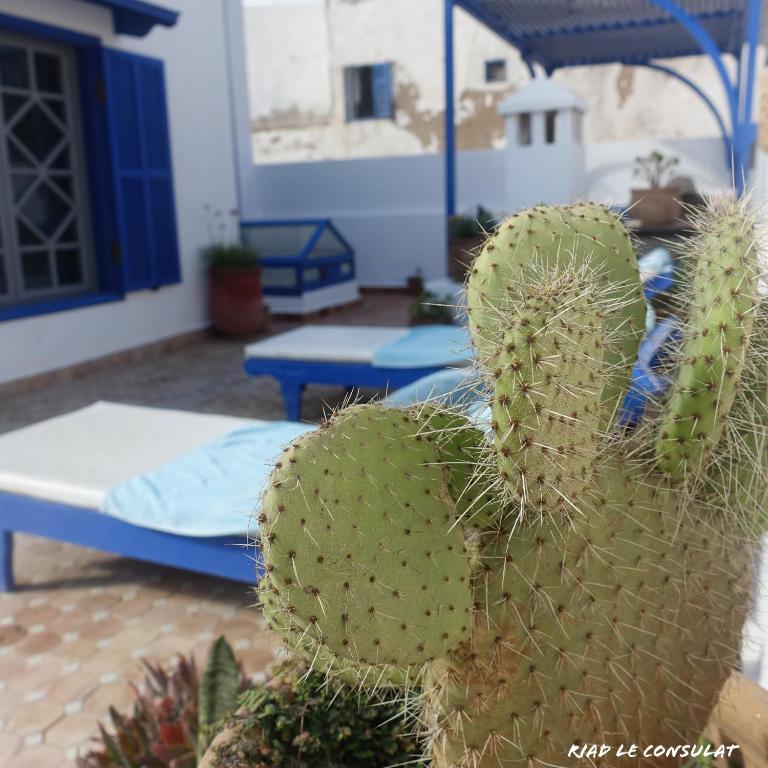 Riad le Consulat chambre dhotes riad Marrakech Tensift Haouz Essaouira 11