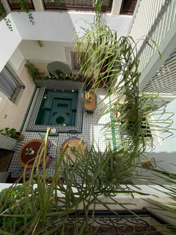 Riad magnolia prive riad Marrakech Tensift Haouz Marrakech