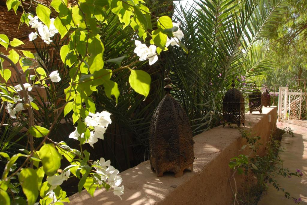 Villa Zagora Ma Villa au Sahara riad Region non trouvee Zagora 7